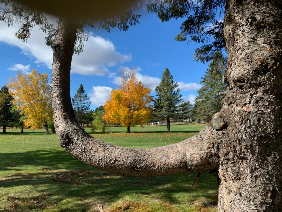  Edgewater Country Club image 1